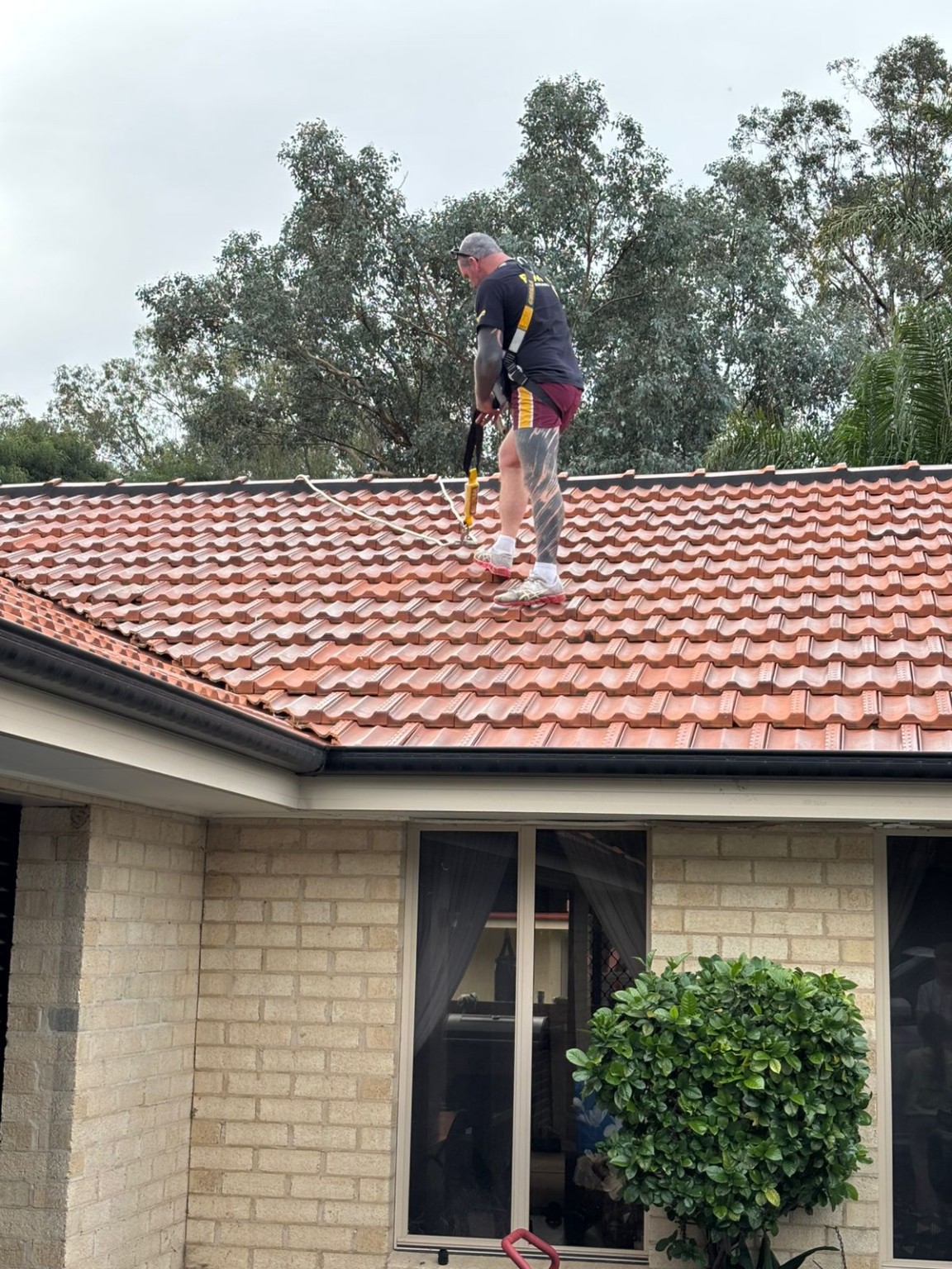 Roof Access Work